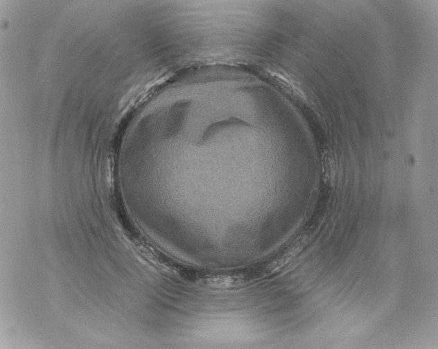 X0000070410740200607072308