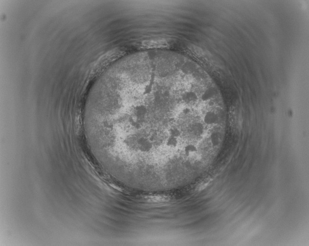 X0000070410741200607072308