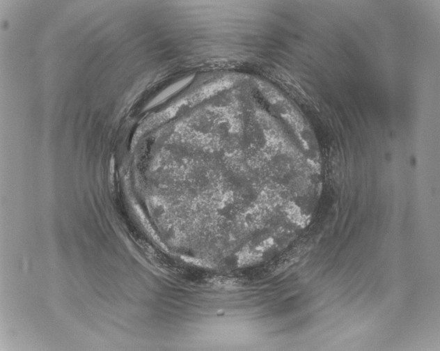 X0000070410742200607072308