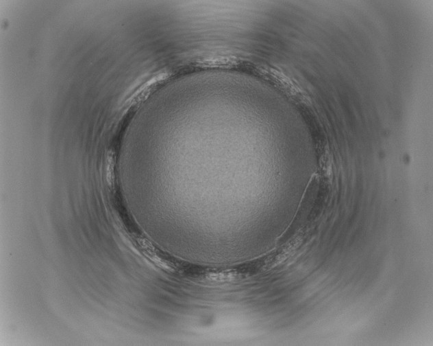 X0000070410744200607072309