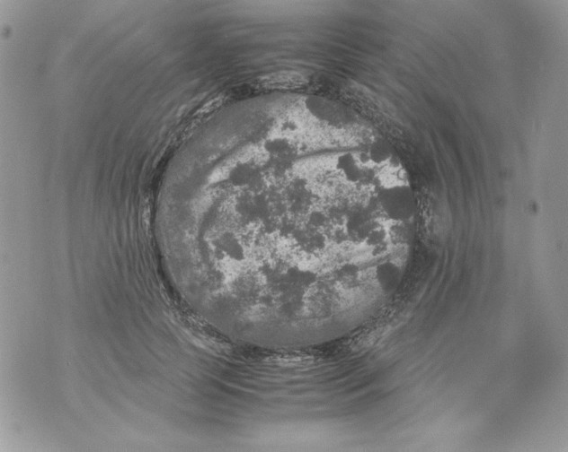 X0000070410745200607072309