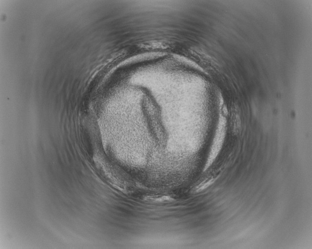 X0000070410747200607072309