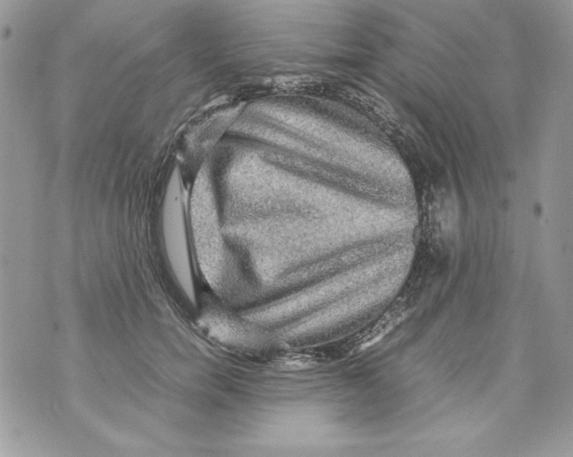 X0000070410750200607072309