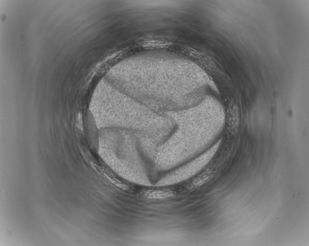 X0000070410755200607072309