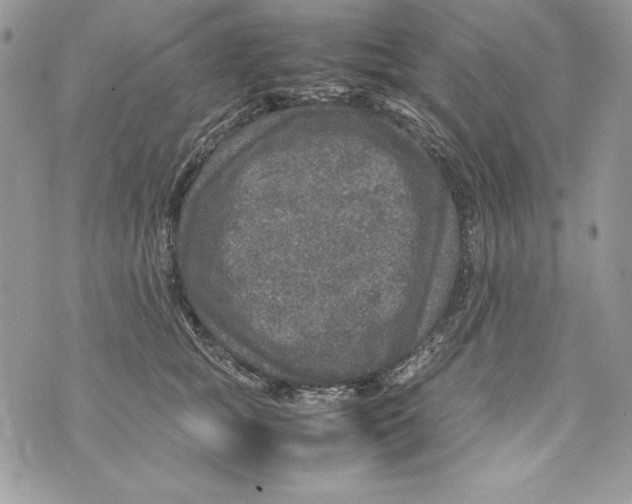 X0000070410757200607072309