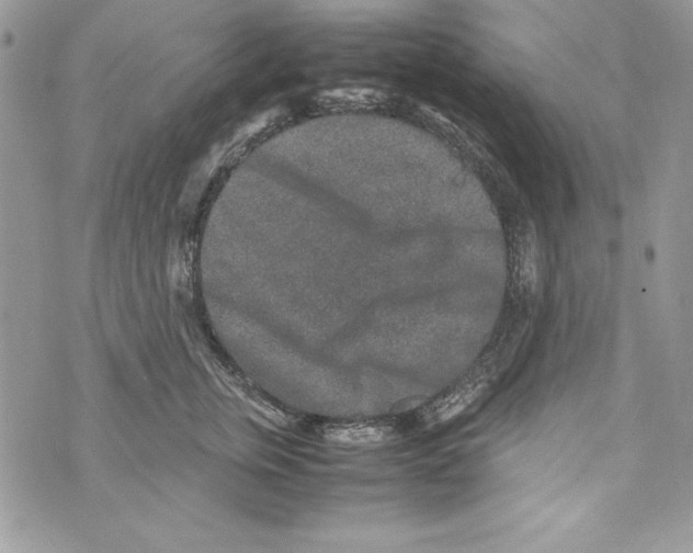 X0000070410759200607072309