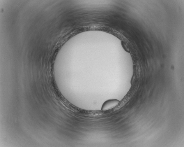 X0000070410760200607072309