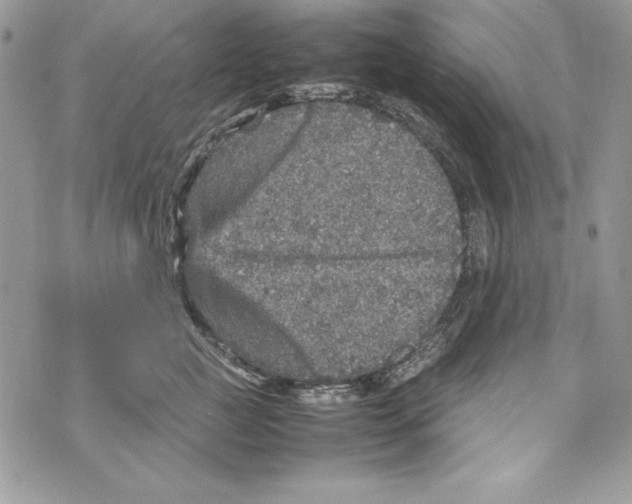 X0000070410761200607072309