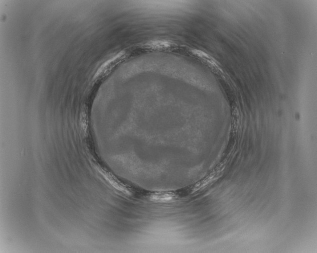 X0000070410762200607072309