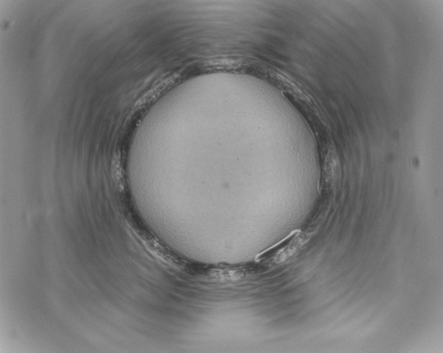 X0000070410764200607072309