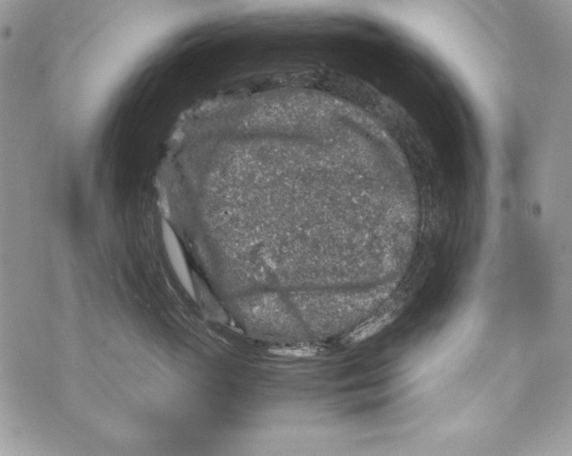 X0000070410765200607072309