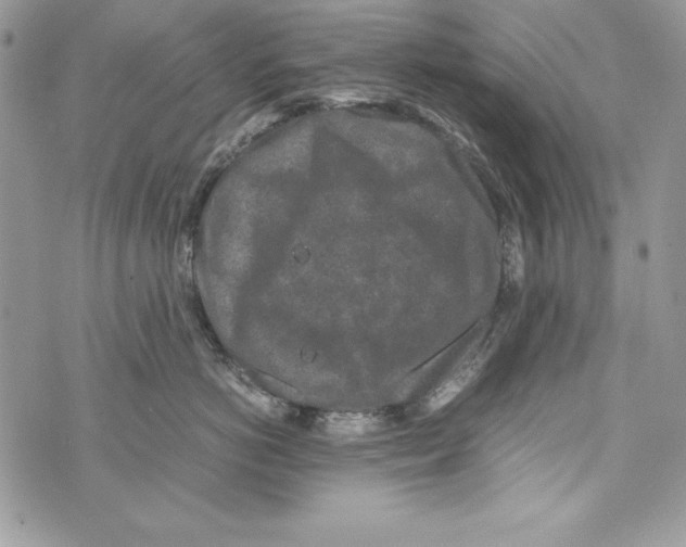 X0000070410766200607072309