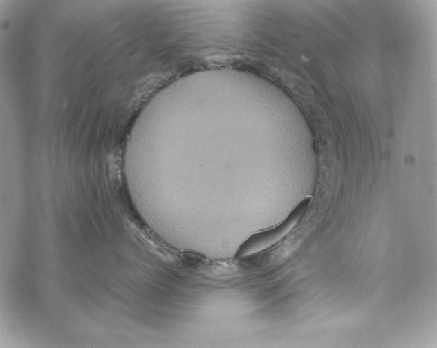 X0000070410768200607072309