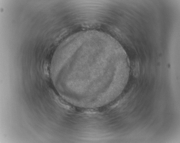 X0000070410770200607072308