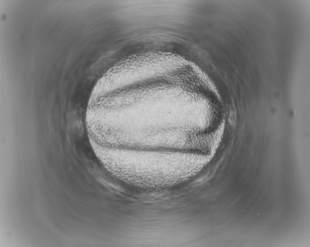 X0000070410771200607072308