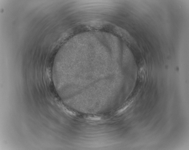 X0000070410772200607072308