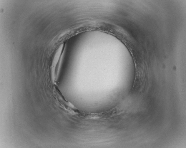 X0000070410773200607072308