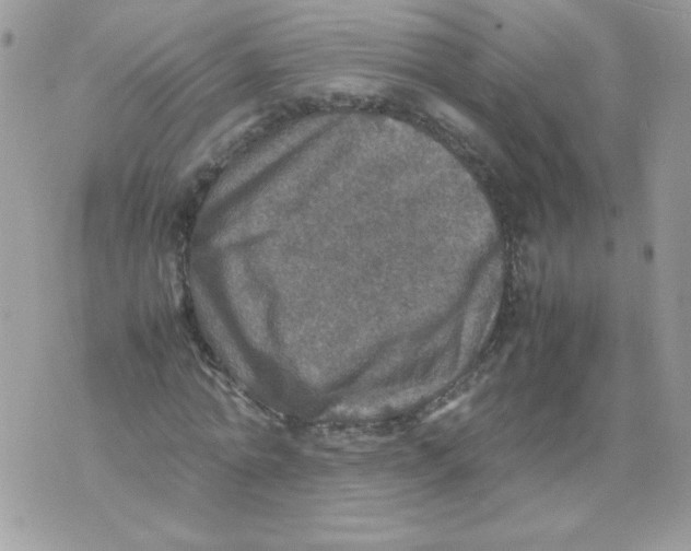 X0000070410774200607072308