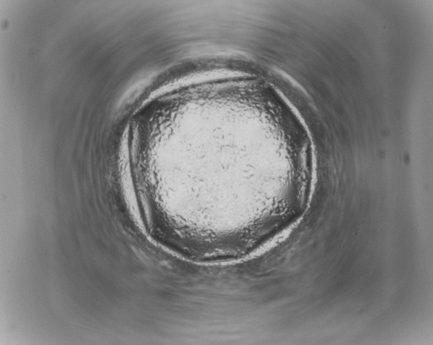 X0000070410775200607072308