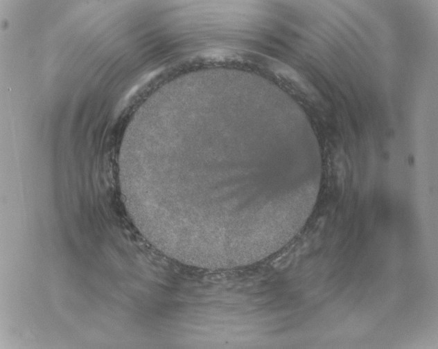 X0000070410776200607072308