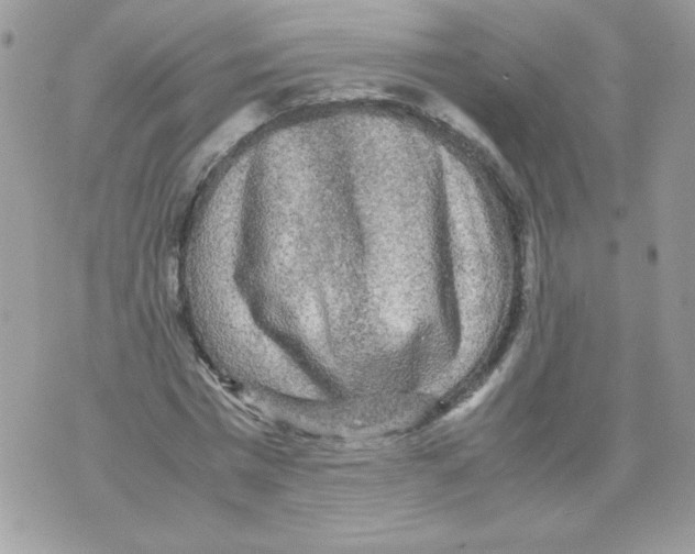 X0000070410777200607072308