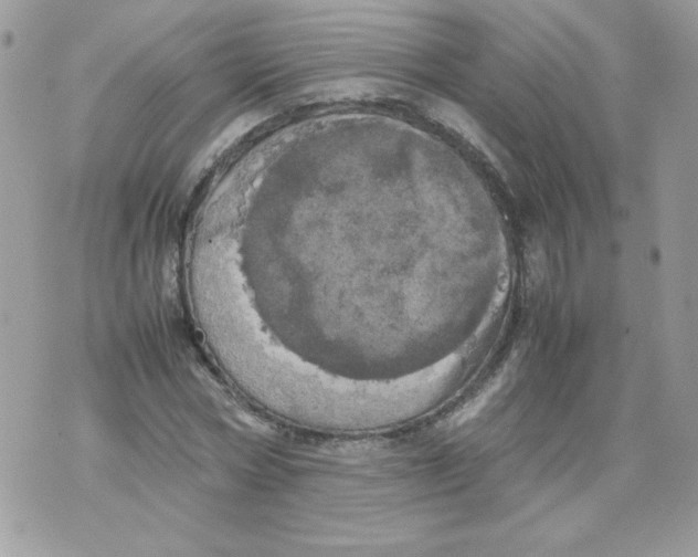 X0000070410778200607072308