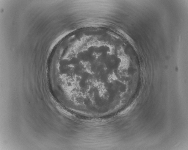 X0000070410779200607072308