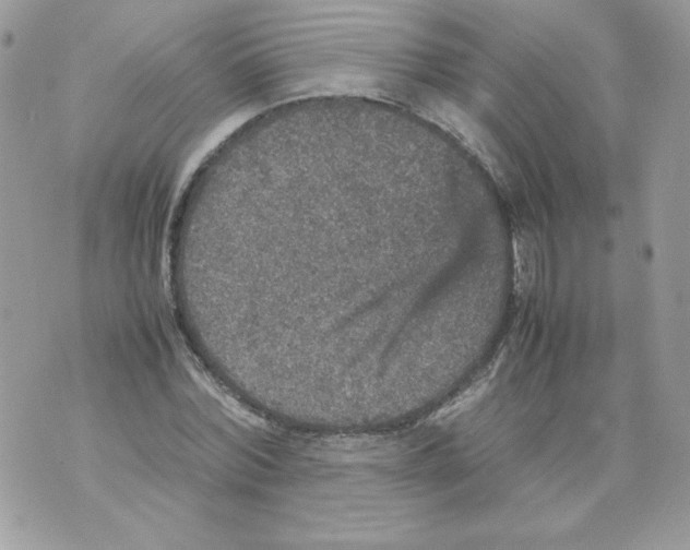 X0000070410780200607072308