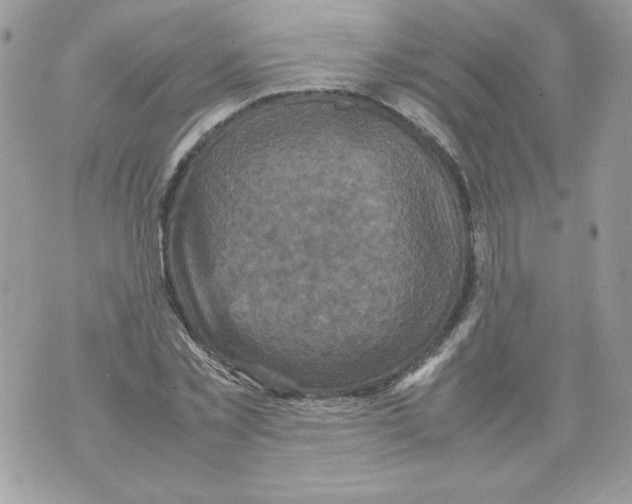 X0000070410781200607072308