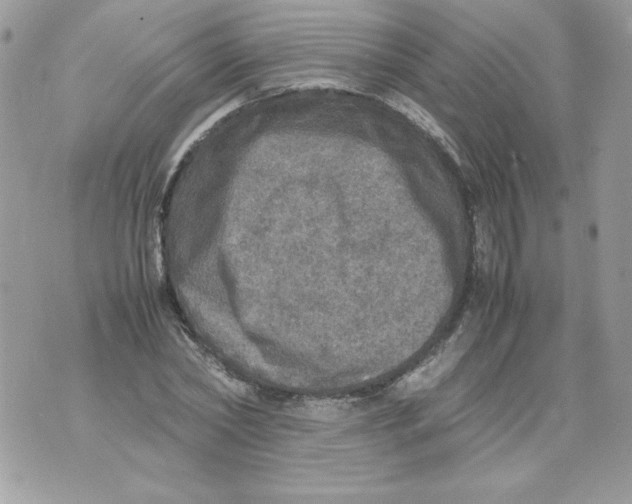 X0000070410782200607072308