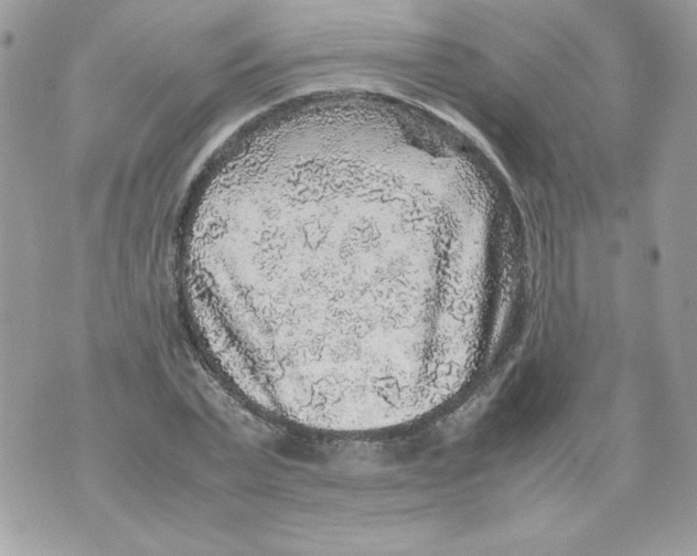 X0000070410783200607072308