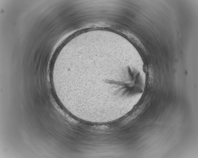 X0000070410784200607072308