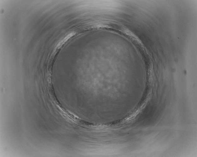 X0000070410785200607072308