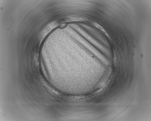 X0000070410786200607072308