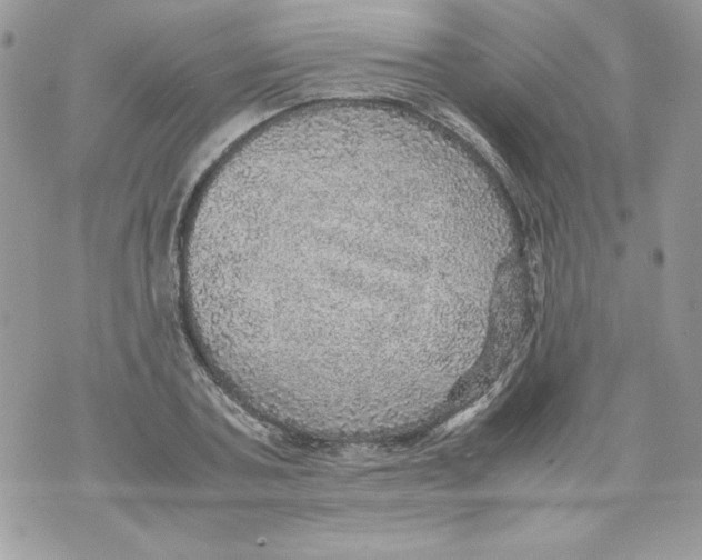 X0000070410787200607072308