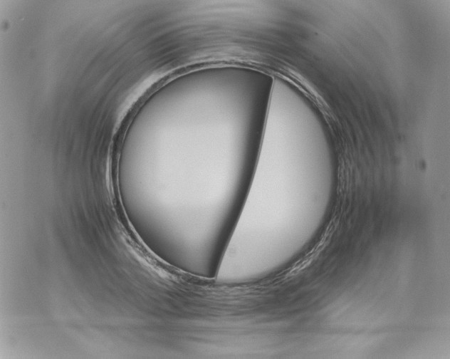 X0000070410788200607072308