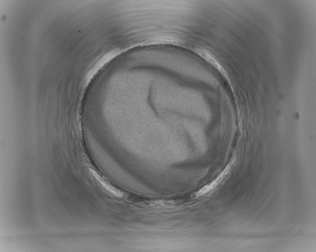 X0000070410789200607072308