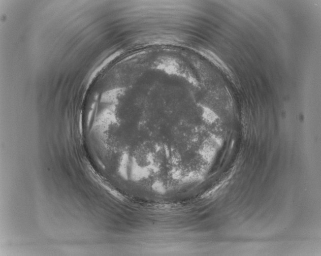 X0000070410790200607072308