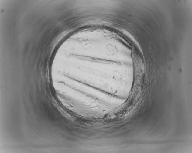 X0000070410791200607072308