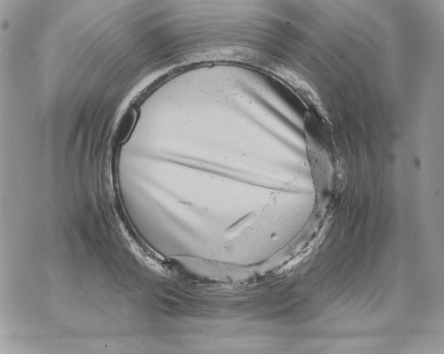 X0000070410792200607072308