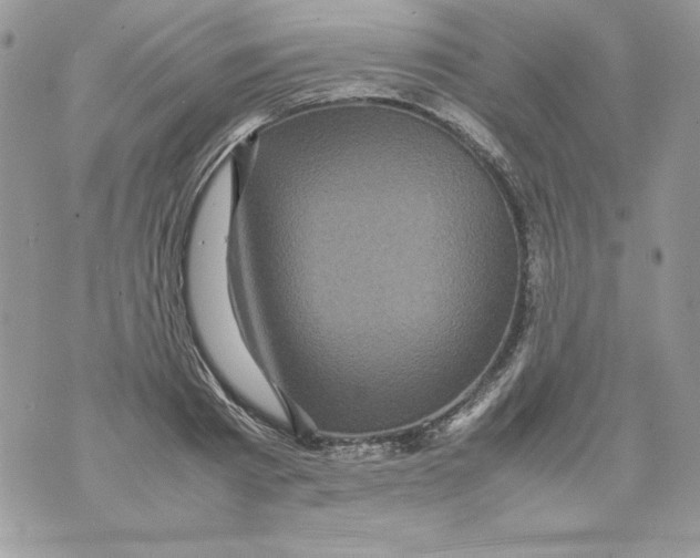 X0000070410793200607072308