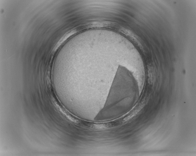 X0000070410794200607072308