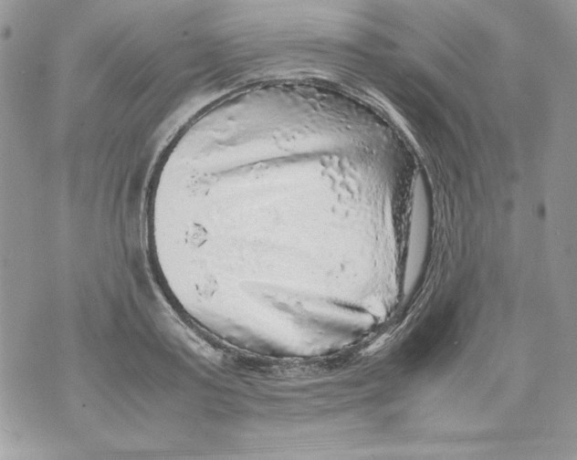 X0000070410795200607072308