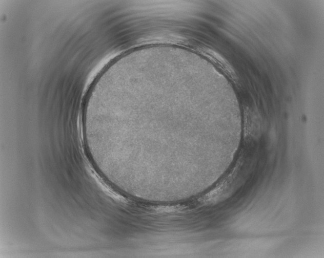 X0000070410796200607072308