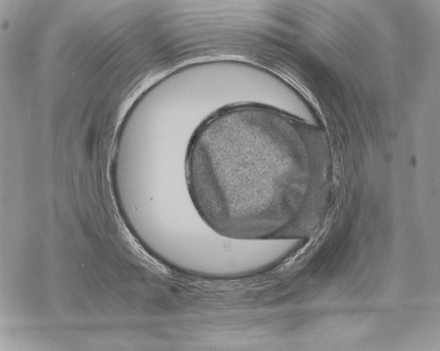 X0000070410797200607072308