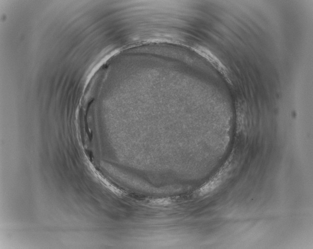 X0000070410798200607072308