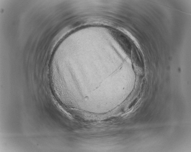 X0000070410799200607072308