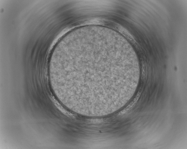 X0000070410800200607072308