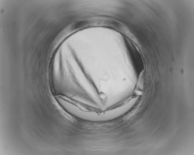 X0000070410803200607072308