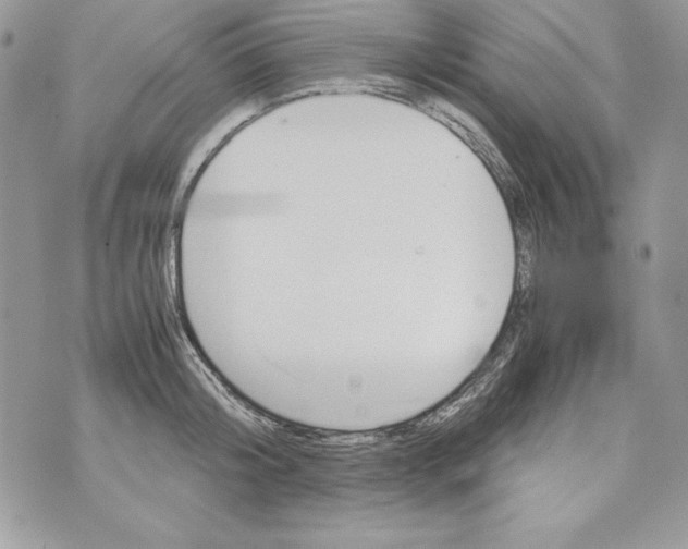 X0000070410804200607072308